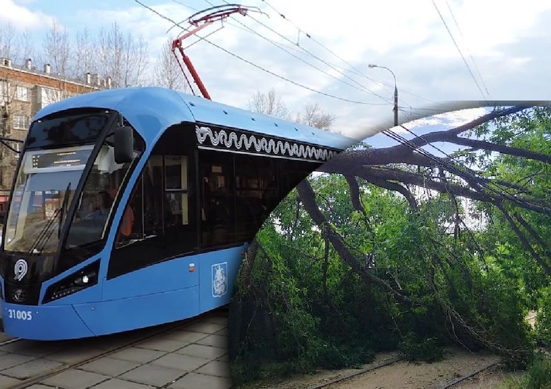 Упавшие деревья прервали движение трамваев на севере и северо-западе Москвы
