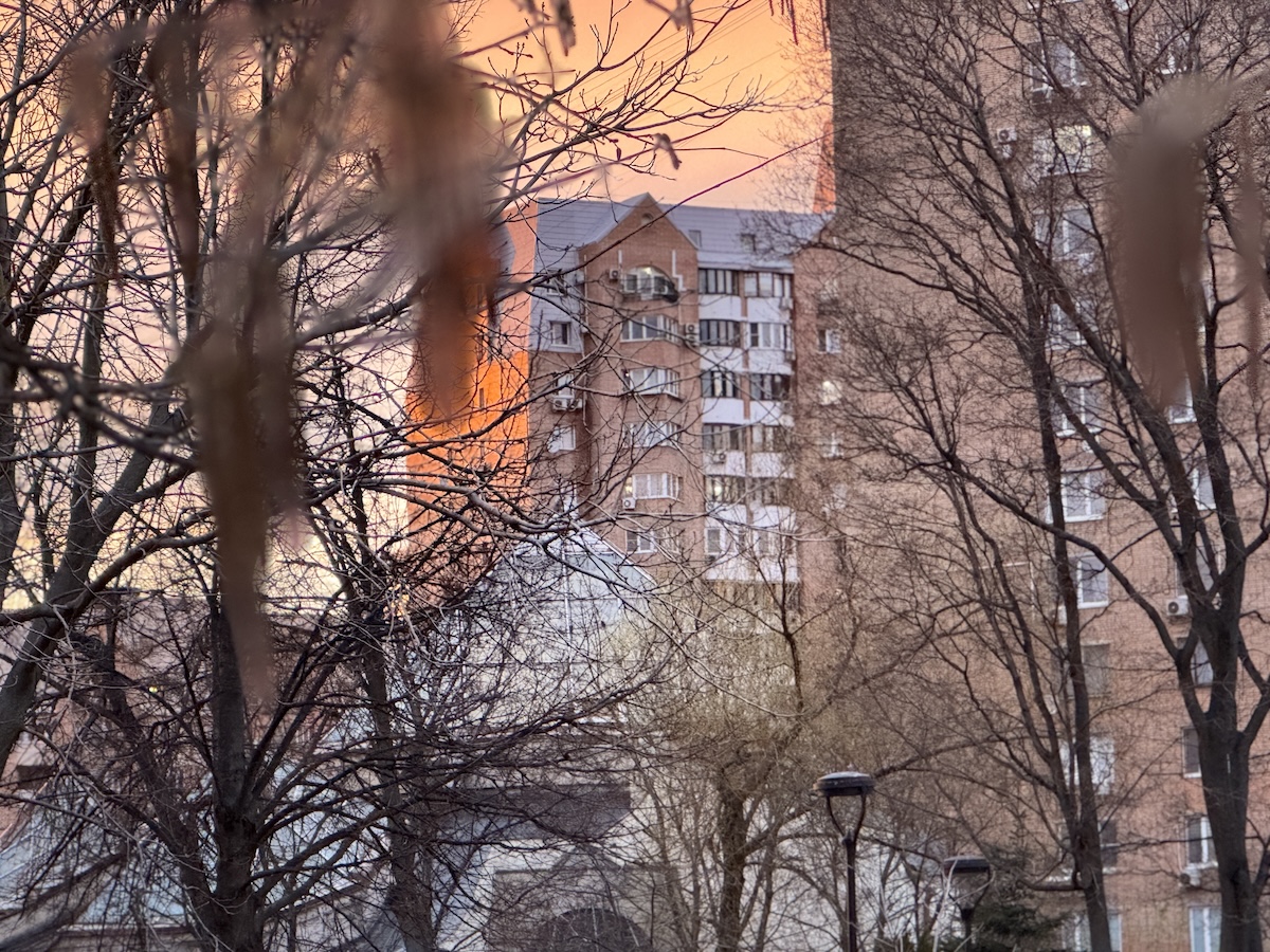 Рынок недвижимости стал напоминать распорядок для Винни-Пуха