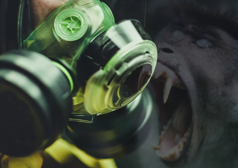 Российские вирусологи оценили опасность оспы обезьян и вероятность новой пандемии 