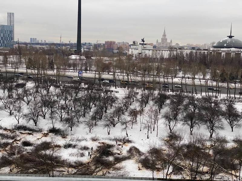На месте строительства дублера Кутузовского проспекта началась вырубка исторического яблоневого сада
