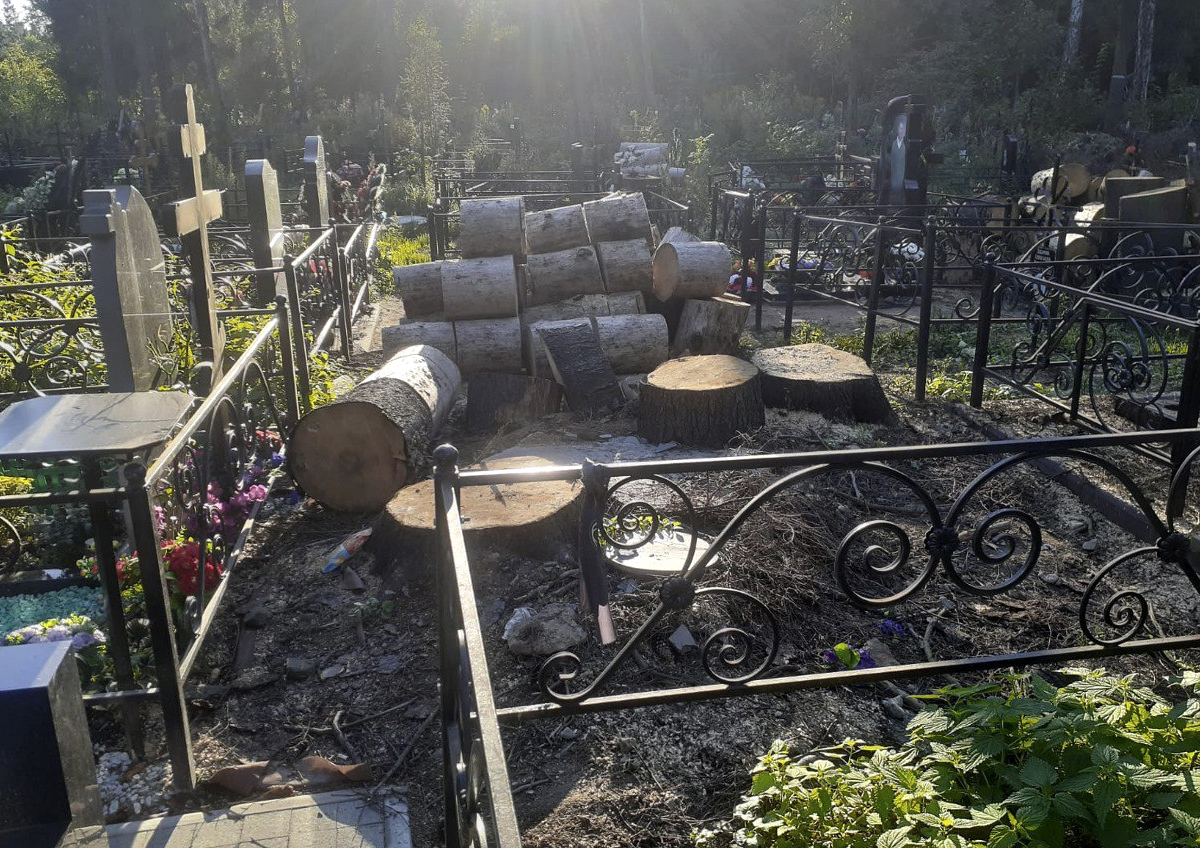 В Подмосковье проводят инвентаризацию кладбищ