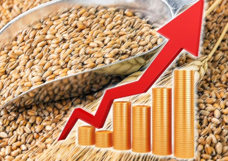 Президент Российского зернового союза назвал причины подорожания пшеницы