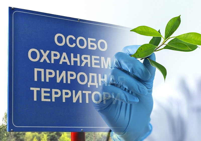Мосгордума рассмотрит поправку о возвращении в московские ООПТ института экологической экспертизы