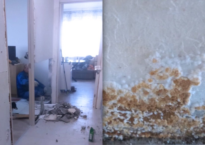 В доме, построенном по программе реновации на востоке Москвы, квартиры покрылись плесенью