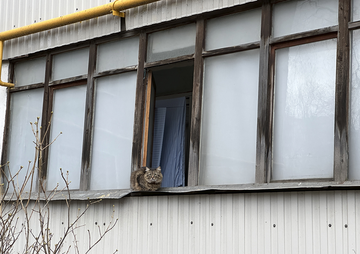 Жителей дома на юго-востоке Москвы ночью разбудили непонятные звуки