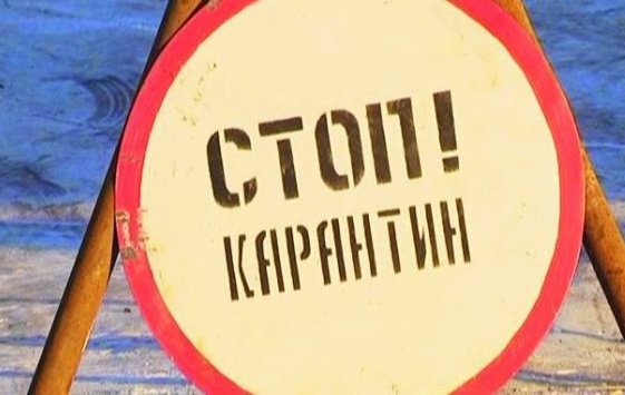 В столичном районе Покровское-Стрешнево объявлен карантин по бешенству