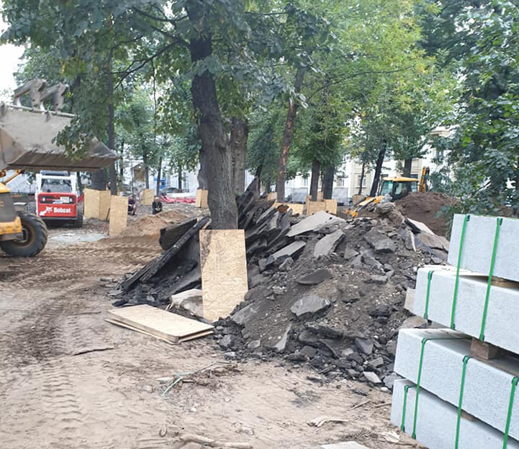 «Хватит заваливать деревья мусором!»: жители домов на набережной Тараса Шевченко продолжают бороться за свои дворы 