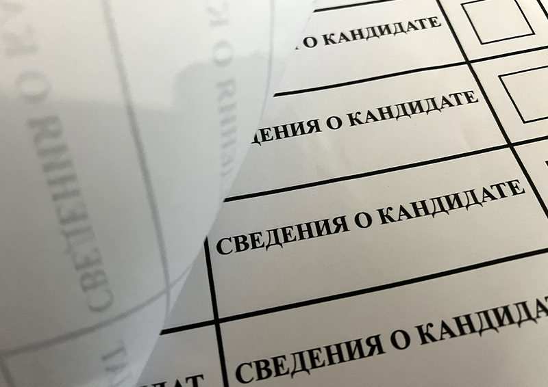 Назван регион РФ, ставший в преддверии выборов «гнездом демократии»