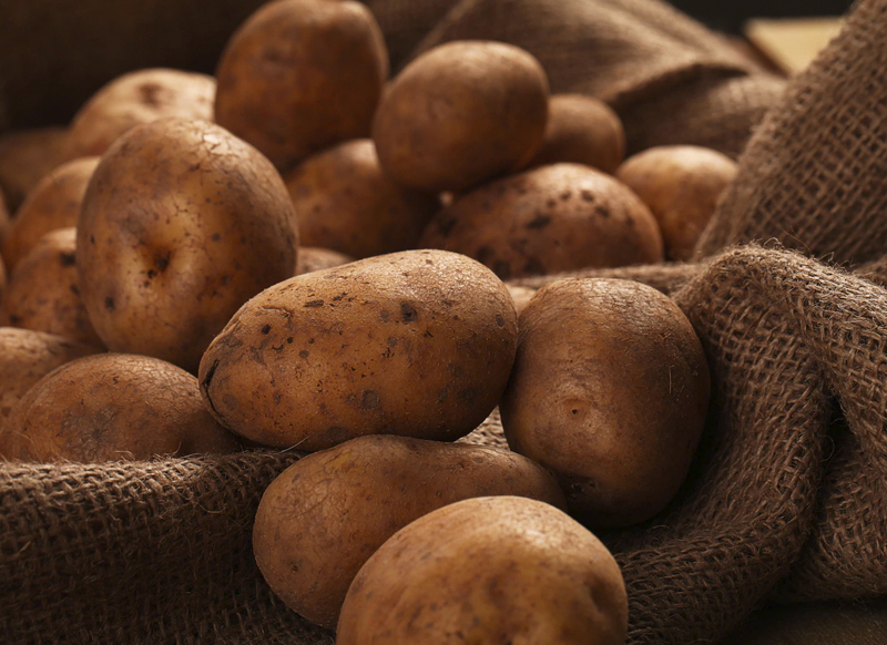 Чего боятся аграрии? Производители картофеля рассказали, каким будет урожай 2022 года