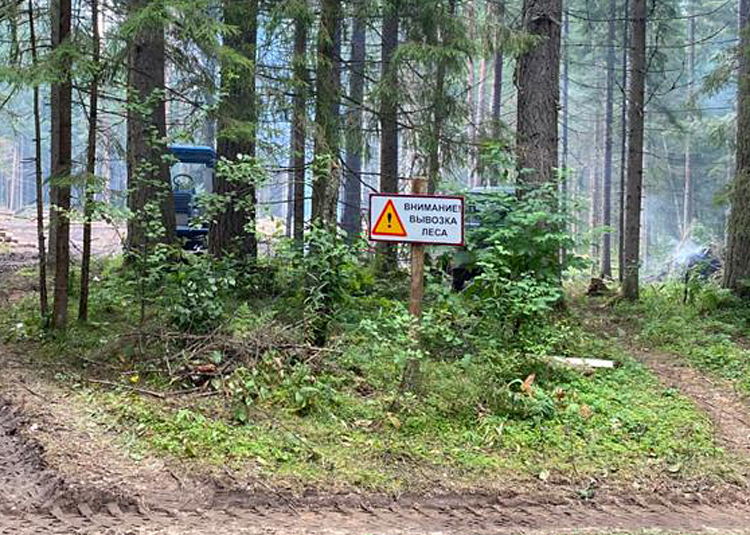 В Тверской области рядом с памятником архитектуры компания с офшорными корнями вырубила лес