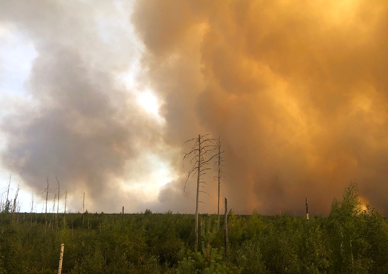 Лесные пожары в Рязанской области: что сейчас там происходит, и кто в ответе за масштабное возгорание?