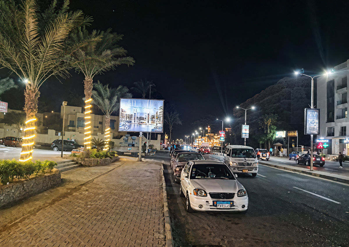 Востоковед Арминэ Акопян рассказала о состоянии современных арабских массмедиа