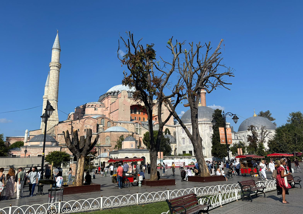 Турция не хочет входить в конфликт на Ближнем Востоке, но в стороне не останется