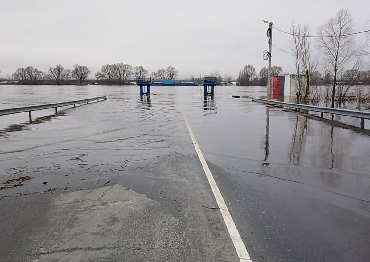 Экологи оценили угрозу паводков и клещей весной-2026