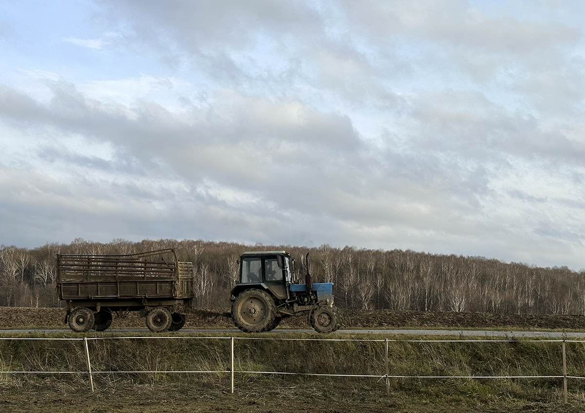 Российские аграрии оценили нынешнее состояние отечественной посевной
