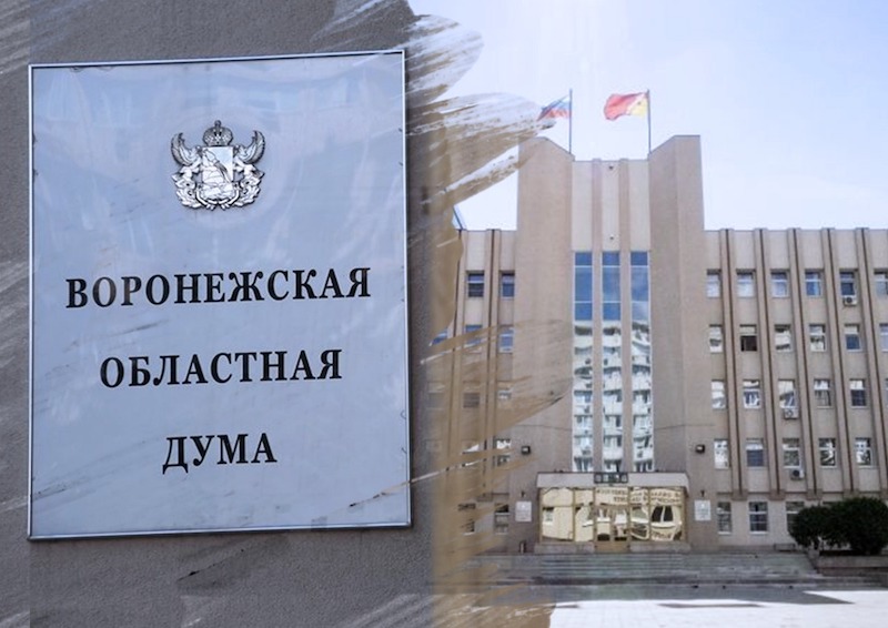 В Воронежской области депутата хотят лишить мандата из-за статуса адвоката