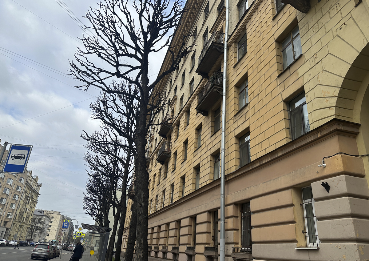 В Петербурге новые ограничения для наливаек вызвали споры