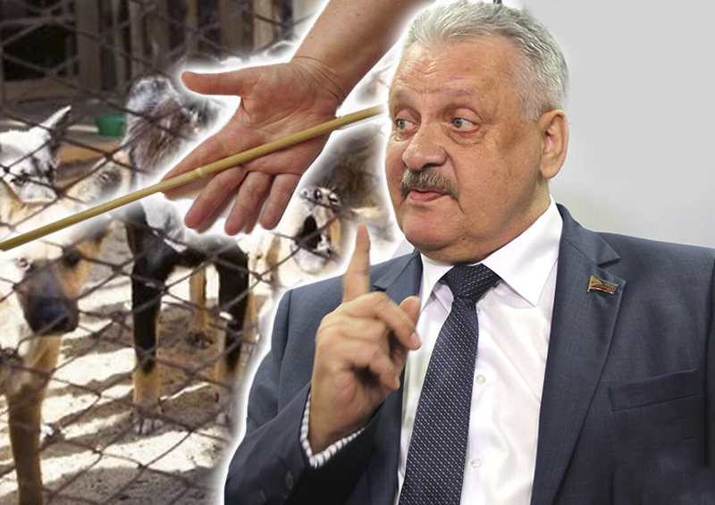 «Очередной ляпнувший невпопад дурачок»: в Москве отреагировали на слова забайкальского депутата об отстреле животных и высечении гомосексуалов