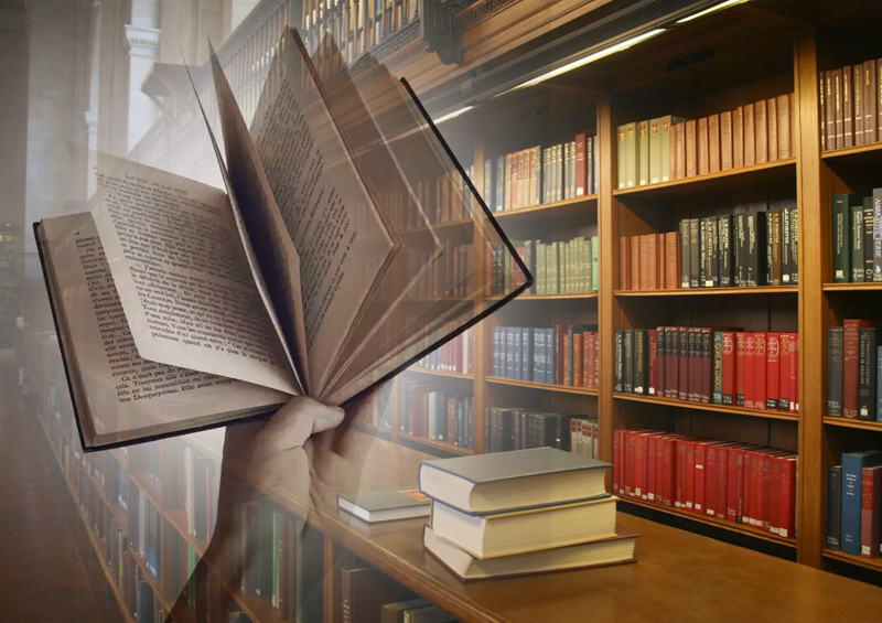 «Тишина в библиотеке»: столичный библиотекарь рассказала о проблемах школьных читален