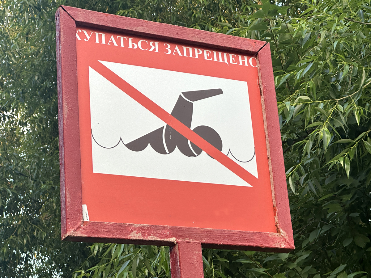 Воронежским прудам и очистным сооружениям не хватает федеральных средств Воронежским прудам и очистным сооружениям не хватает федеральных средств
