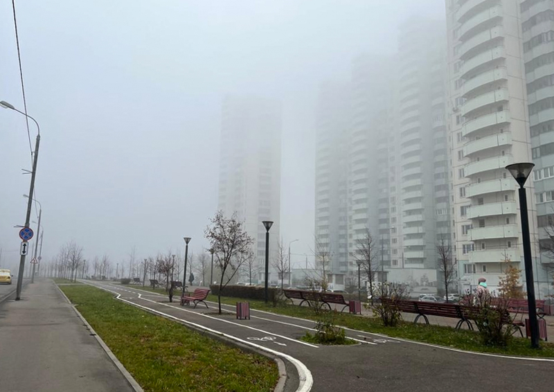 Спальные районы Москвы назвали зоной экологического бедствия