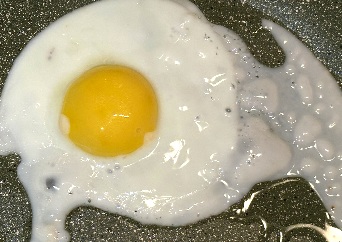 На птицефабриках сложилась ситуация «идеального шторма»: почему дорожают яйца