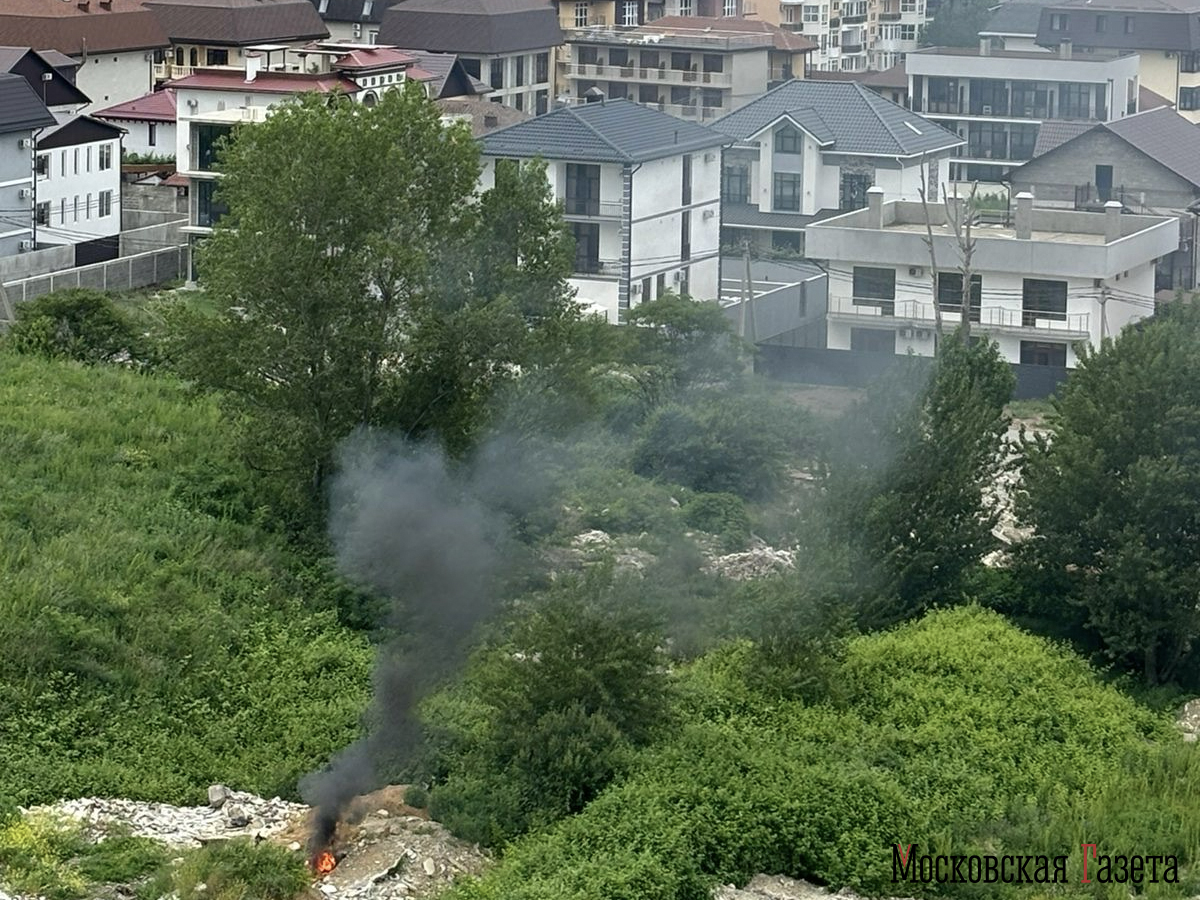 Нелегальную свалку в Сочи до сих пор не ликвидировали