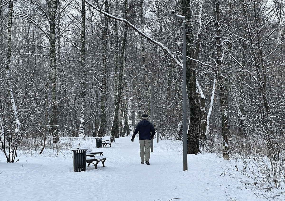 Новогодняя ночь в Москве будет снежной и морозной