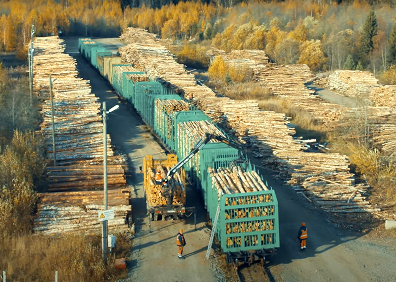 Россия — щедрая душа: как русский характер влияет на импортозамещение в лесной отрасли