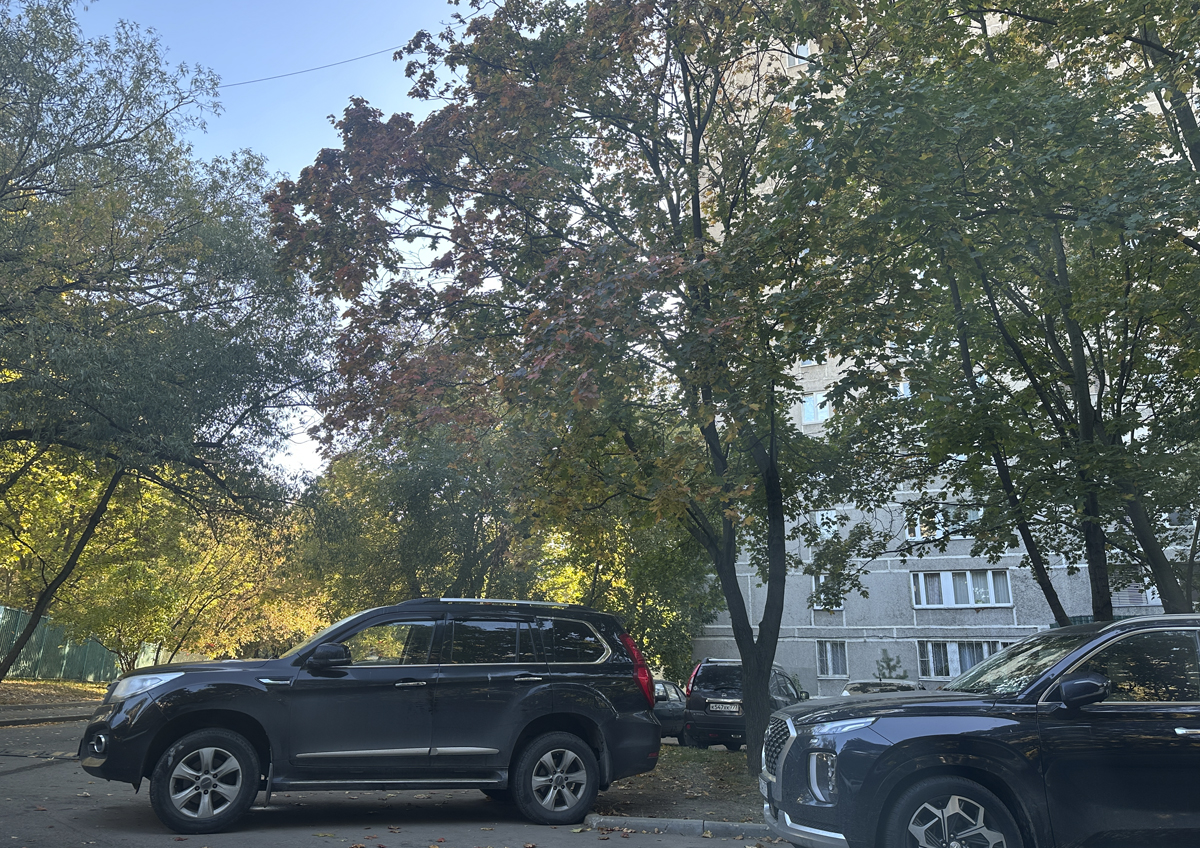 Москву ждет рекордно теплая ночь Москву ждет рекордно теплая ночь