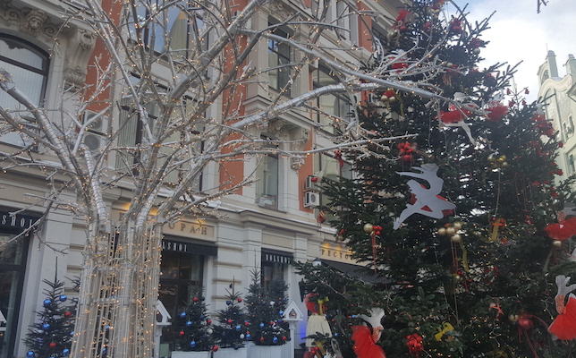 В Парке Горького установят необычную новогоднюю ёлку