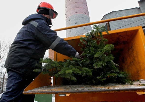 13 столичных парков примут новогодние елки на переработку