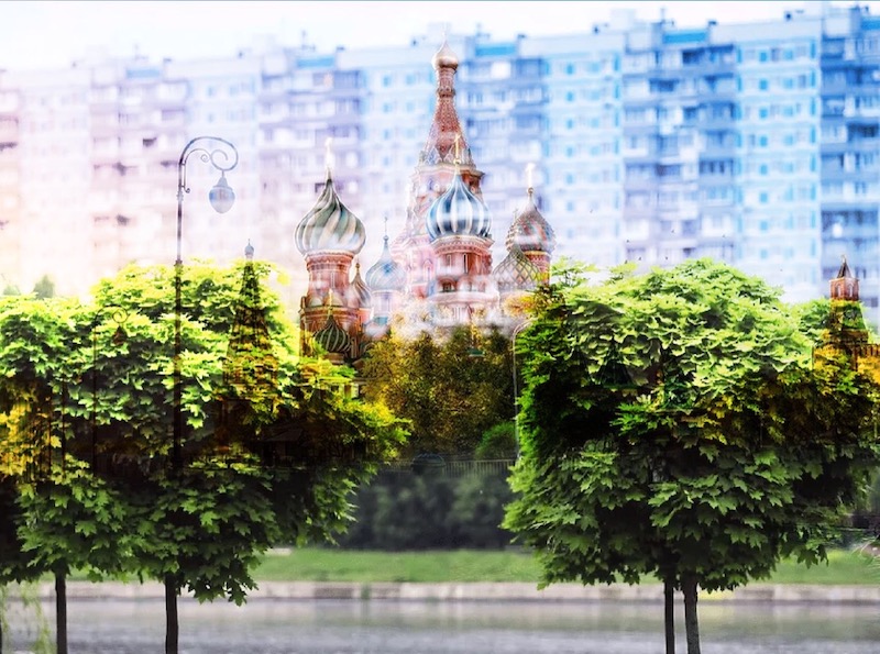 В Москве предлагают ужесточить контроль за содержанием деревьев