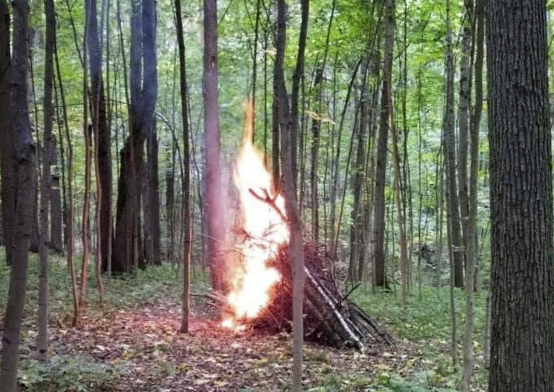 Защитники Битцевского леса сообщили о возгорании на природной территории