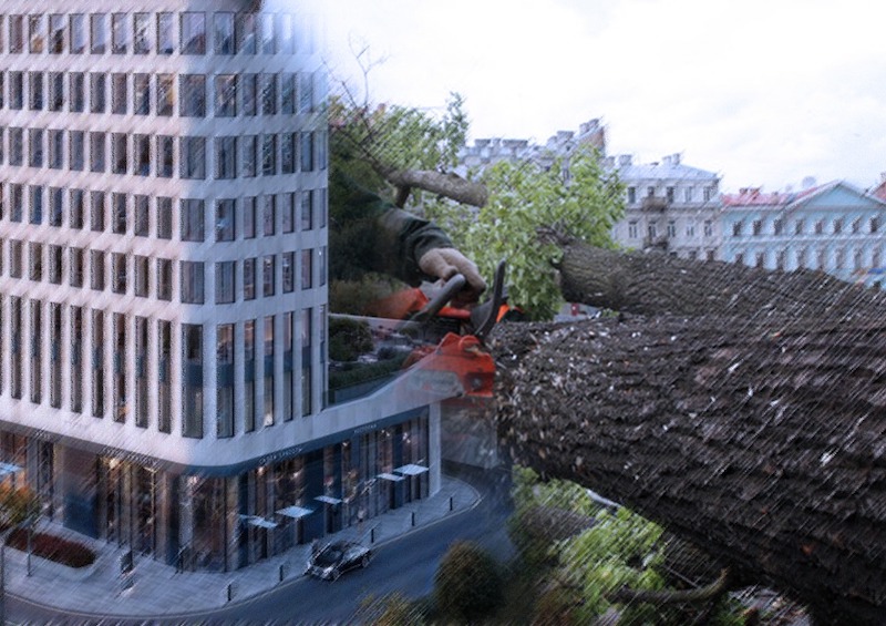 «Город превратился в каменный мешок». Москвичи связали уничтожение деревьев в ЗАО с еще одним строительным проектом
