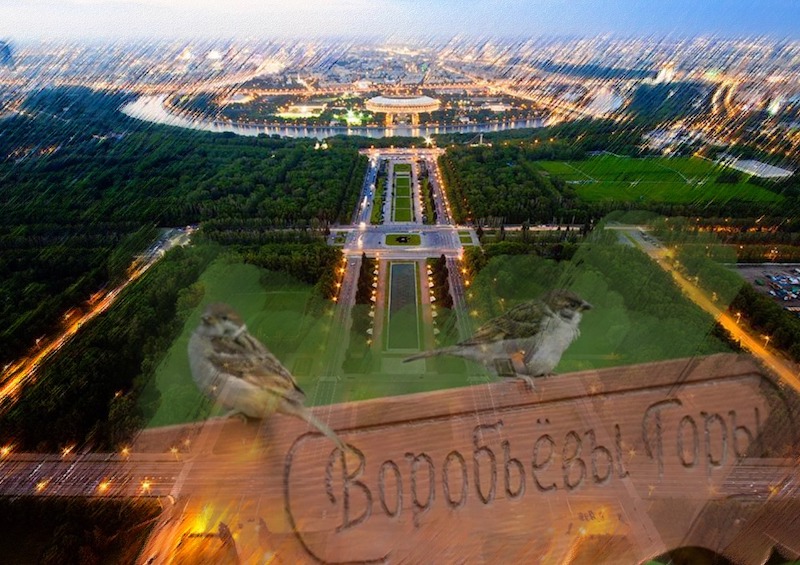 Прощайте Воробьёвы горы? Власти Москвы хотят изменить планировку ООПТ