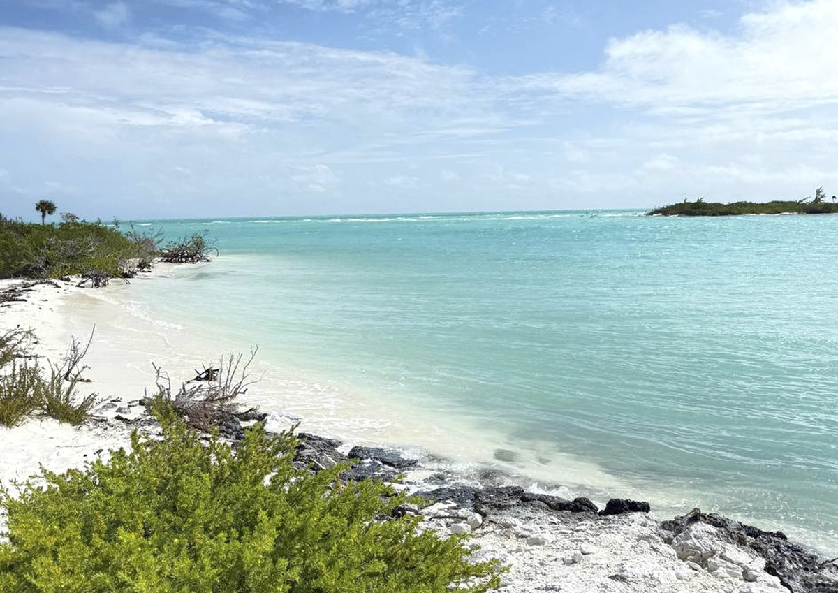 АТОР: ситуация с авиарейсами на Кубу остается противоречивой