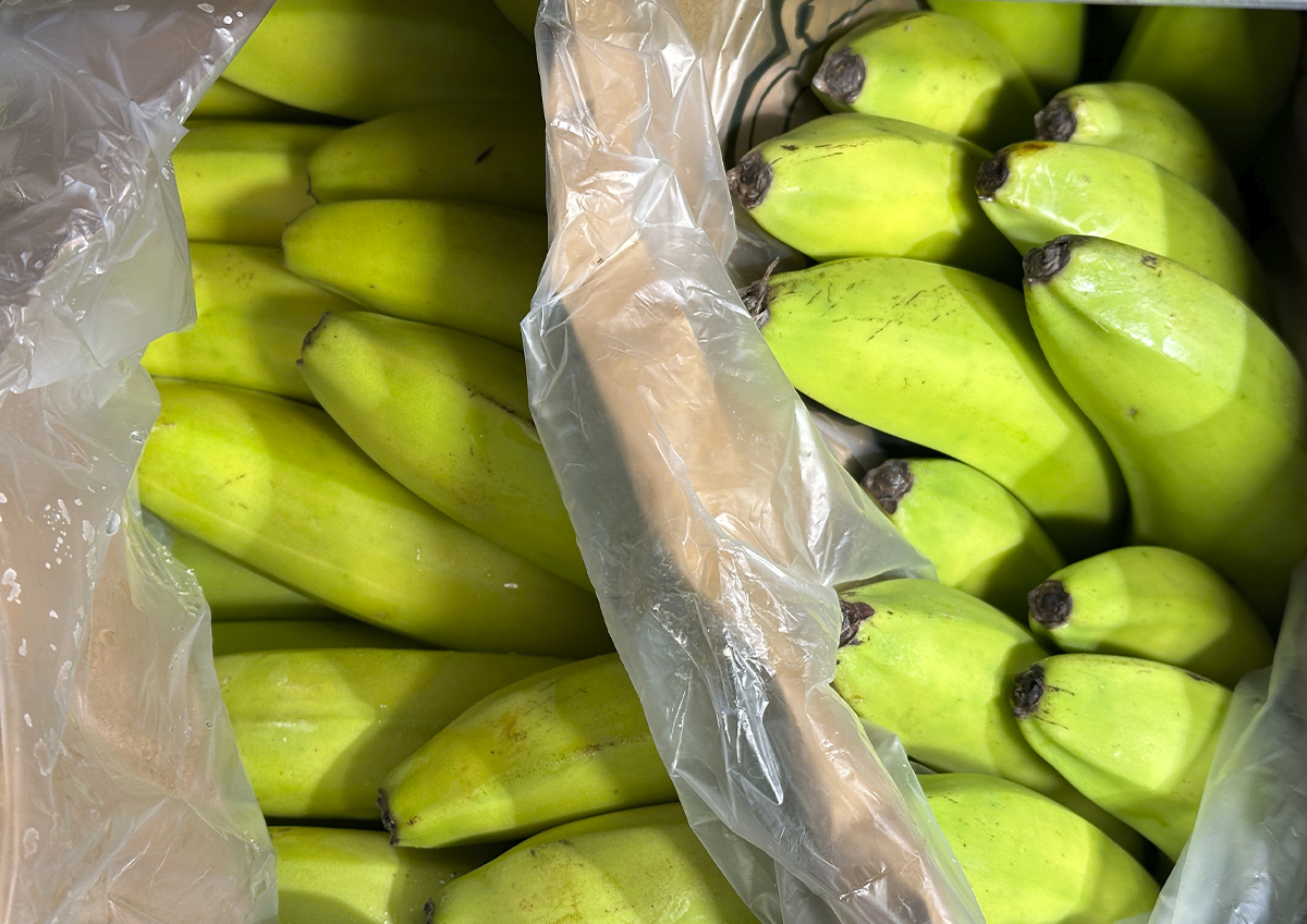«Невидимая» угроза для большой экономики: эквадорские бананы не единственные?