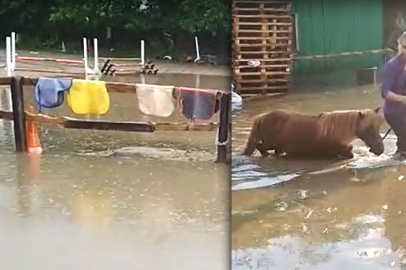 Конно-спортивный клуб «Золотая подкова» уходит под воду во время дождей 