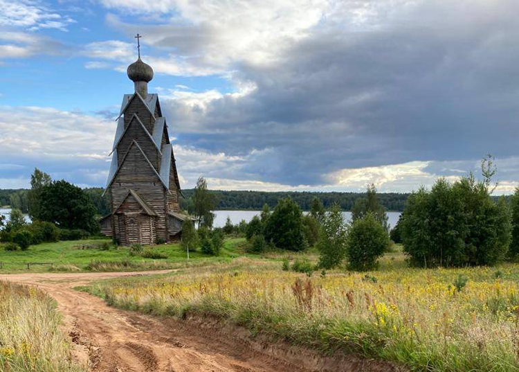 В Тверской области вырубают лес рядом с объектом культурного наследия 