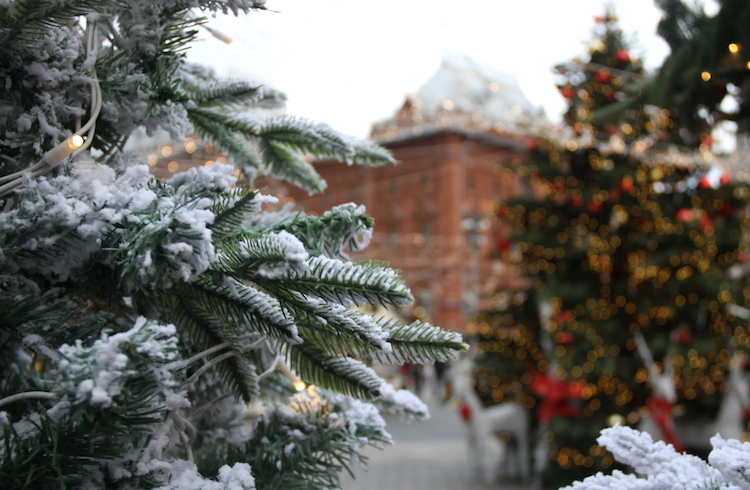Большинство россиян хотят отдыхать 10 дней в новогодние каникулы. Профсоюзы против