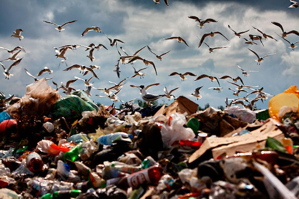 Проблему с мусором в городах-миллионниках предлагает решить РЖД
