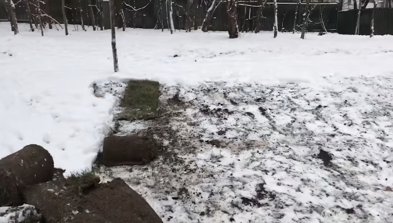 В ЮЗАО Москвы газоны укладывают поверх снежного покрова