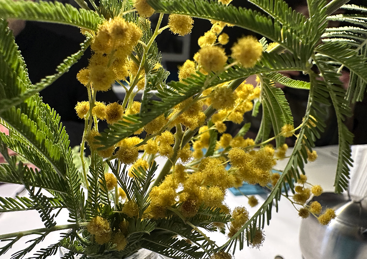 Какие подарки выбирают россияне на 8 марта и куда поедут отдыхать