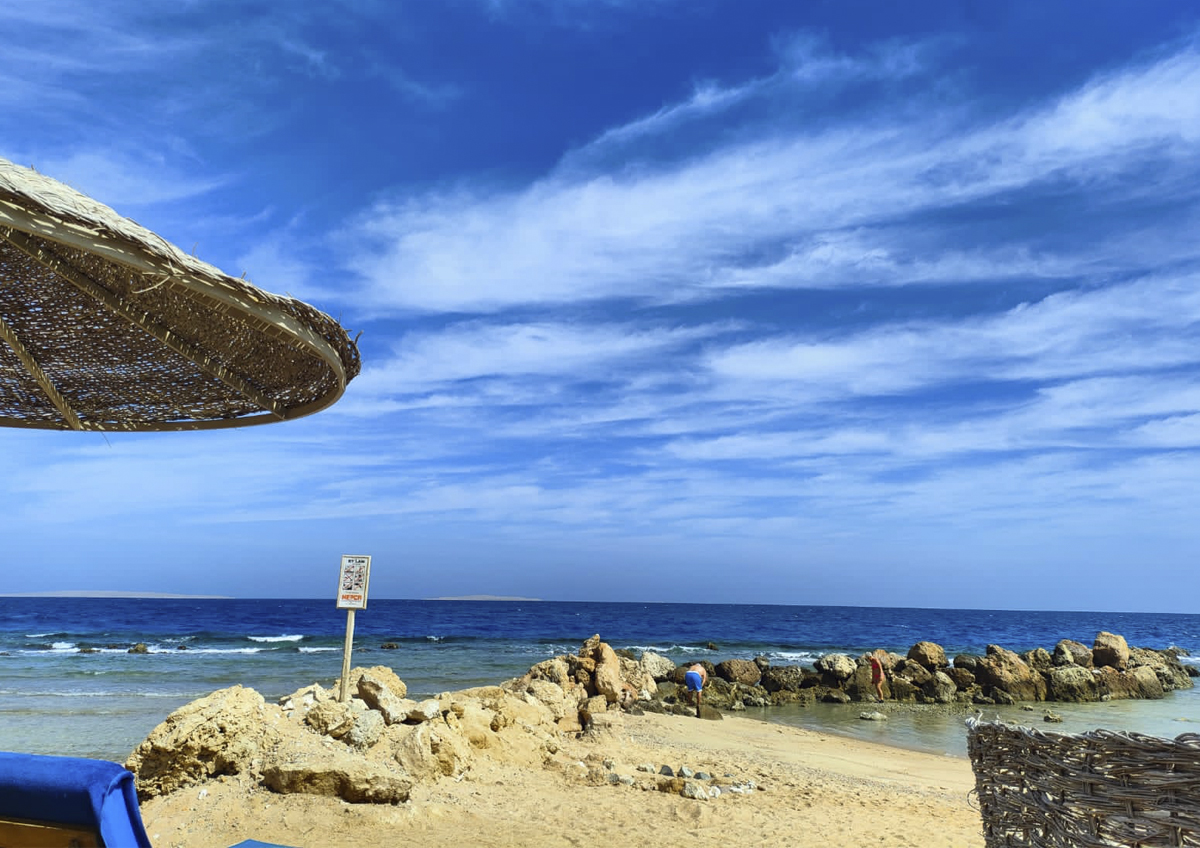 В АТОР назвали причины возникновения страховых случаев за рубежом