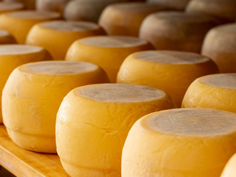Производители сыров в России столкнулись со сложностями