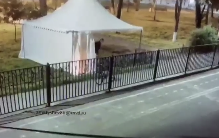 В Подольске местный житель поджег шатер для голосования