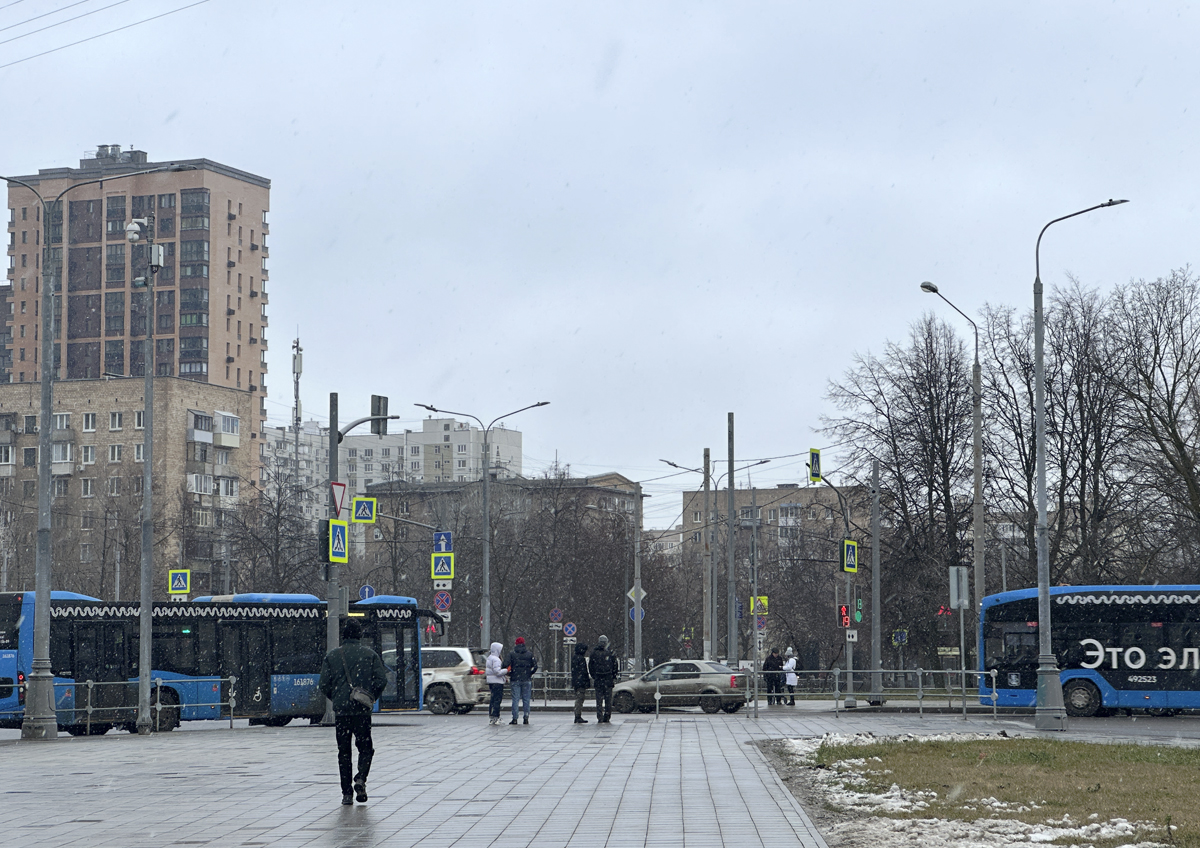 Москвичей предупредили о первых серьезных заморозках