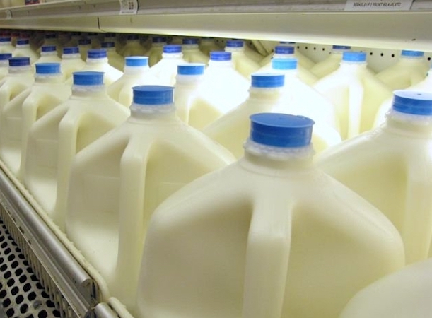 Молоко, не вызывающее непереносимости, появится в продаже в России в феврале 