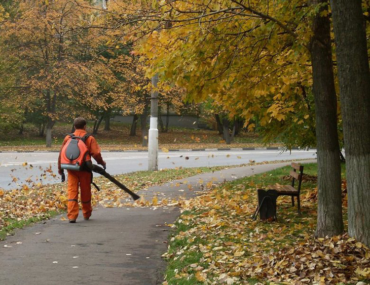 Москвичи пожаловались на постоянный шум от уборочной техники в парках ЦАО
